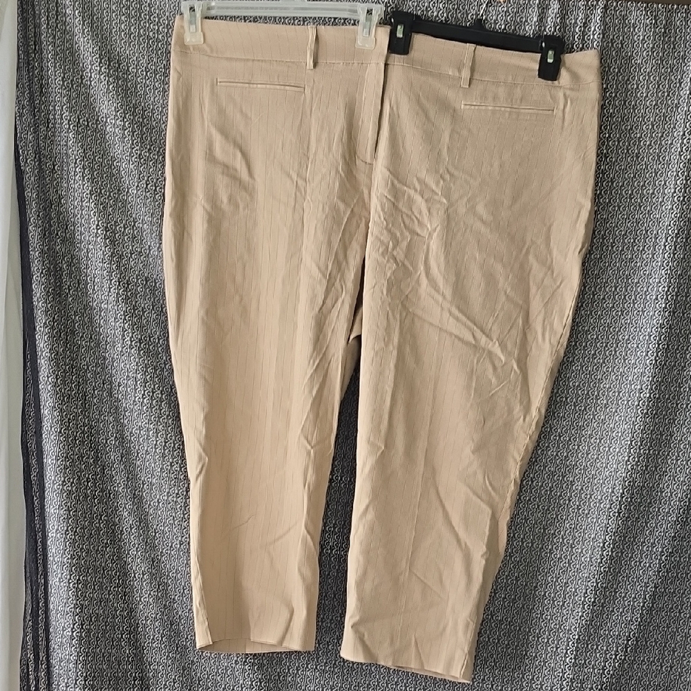 Lane Bryant Tan Chinos Classic Straight-Leg